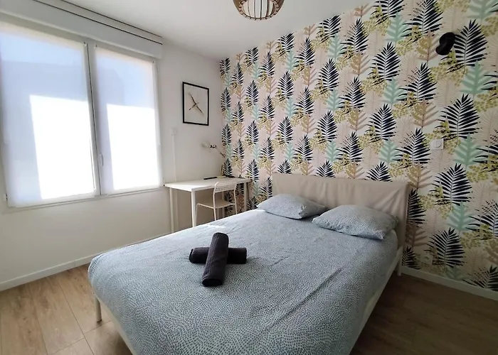 Grand Espace Et Confort à Proximité Des Facultés *