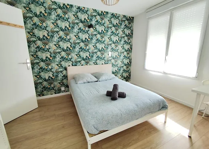 Grand Espace Et Confort à Proximité Des Facultés * Brest